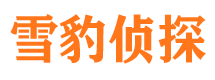 襄阳市私家侦探